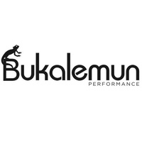 Bukalemun Performance Hall, Mersin