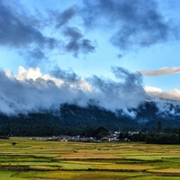 Ziro Recinto del Festival, Ziro