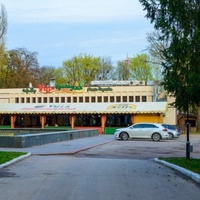 Villa Crocodila, Póltava