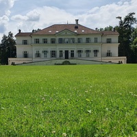 Savarsin Royal Castle, Arad