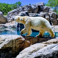 ABQ BioPark - Zoo, Albuquerque, NM