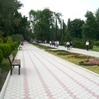 Dendrarium Park, Chisináu