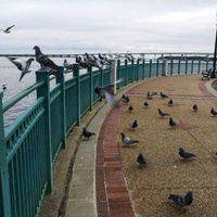 Water Front Outdoors, New Bern, NC