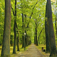 Park Miejski, Zwierzyniec