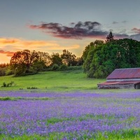 Lebanon, OR