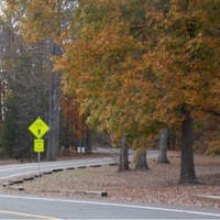 Appomattox Community Park, Appomattox, VA