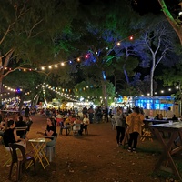 The Garden of Unearthly Delights, Adelaida