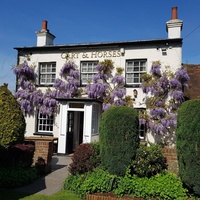 Cart & Horses, Londres