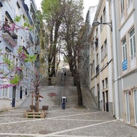 Disgraça, Lisboa