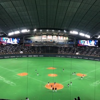 Sapporo Dome, Sapporo