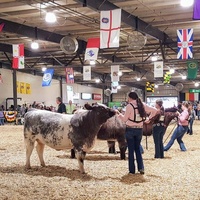 Maryland State Fairgrounds, Lutherville-Timonium, MD