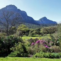 Kirstenbosch National Botanical Garden, Cdad. del Cabo