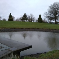 Dog Park at Timber Linn Park, Albany, OR