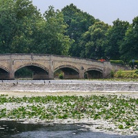 Abbey Park, Leicester