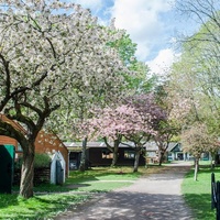 Rural Life Centre, Farnham