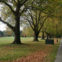 Hagley Park North, Christchurch