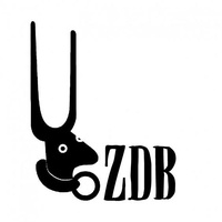 Ze Dos Bois Association, Lisboa