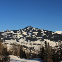 Saanen