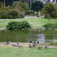 Golden Gate Park, San Francisco, CA