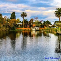 Whanganui